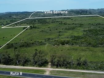 https://www.gallito.com.uy/venta-campo-55-has-ruta-8-villa-serrana-lavalleja-inmuebles-24601276