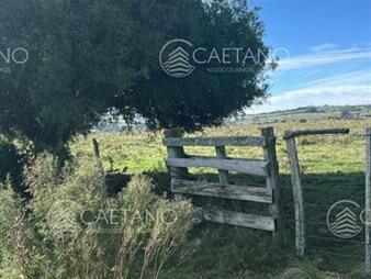 https://www.gallito.com.uy/chacra-pueblo-eden-inmuebles-27699185