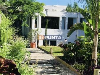 https://web5.gallito.com.uy/casa-ideal-oara-vivienda-o-renta-a-pasos-del-mar-inmuebles-27608113