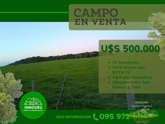 https://www.gallito.com.uy/venta-de-campo-por-ruta-12-inmuebles-27699748