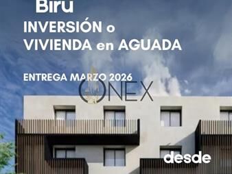 https://web5.gallito.com.uy/oportunidad-unica-de-inversion-aptos-de-uno-y-inmuebles-27700153
