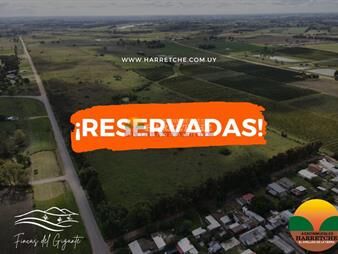 https://www.gallito.com.uy/chacra-en-progreso-zona-alta-3-has-a-pasito-de-inmuebles-27337152
