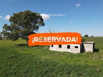 https://www.gallito.com.uy/chacra-de-54-has-en-los-cerrillos-construccion-inmuebles-27079824