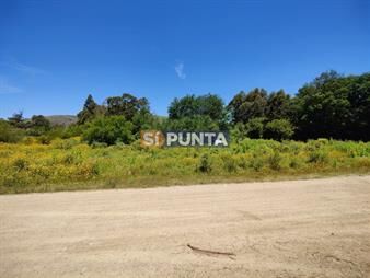 https://www.gallito.com.uy/terreno-de-737-m2-a-la-venta-en-piriapolis-inmuebles-27608014
