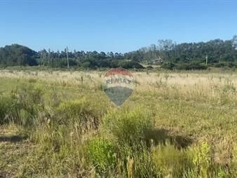 https://web5.gallito.com.uy/venta-terreno-1ha-cno-a-la-arenisca-sn-colonia-inmuebles-27573485
