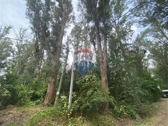 https://web5.gallito.com.uy/venta-terreno-en-santa-ana-colonia-inmuebles-26959681