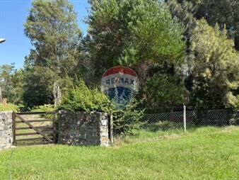 https://web5.gallito.com.uy/venta-terreno-burdeos-laguna-de-los-patos-colonia-inmuebles-27643057