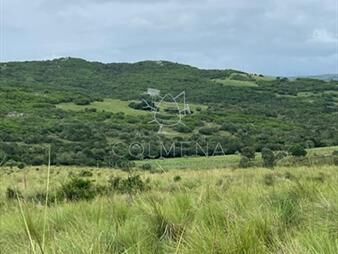 https://www.gallito.com.uy/campo-en-paso-de-la-cantera-inmuebles-22909902