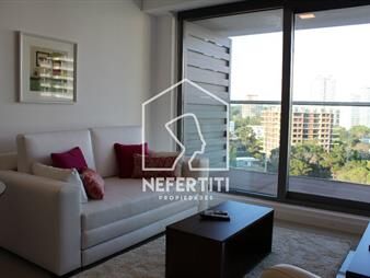 https://web5.gallito.com.uy/venta-apartamento-1-dormitorio-plus-en-edificio-inmuebles-25281929