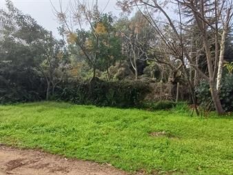 https://www.gallito.com.uy/muy-buen-solar-en-la-floresta-a-300-mtsdel-mar-inmuebles-27708297