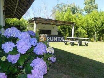 https://web5.gallito.com.uy/casa-en-alquiler-el-tesoro-inmuebles-27608565