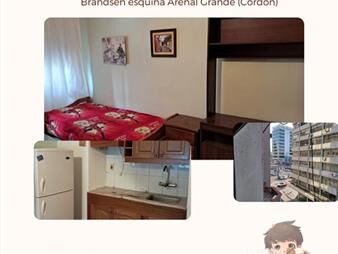 https://web5.gallito.com.uy/alquiler-de-monoambiente-en-cordon-inmuebles-27708544