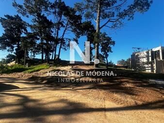 https://web5.gallito.com.uy/terrero-en-venta-de-1540mts2-en-piedras-del-a-del-inmuebles-27510969
