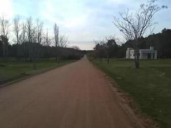 https://web5.gallito.com.uy/terreno-en-chacras-del-pinar-2315-m2-inmuebles-23535944