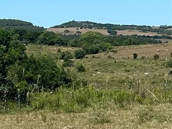 https://www.gallito.com.uy/chacra-en-sierras-de-garzon-10-hectareas-inmuebles-26676814