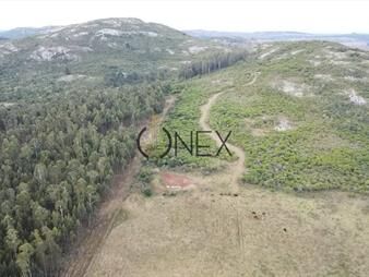 https://www.gallito.com.uy/venta-de-campo-de-25-ha-en-inmuebles-27713358