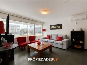 https://web5.gallito.com.uy/amplia-planta-de-1-dormitorio-en-torre-inmuebles-23978442
