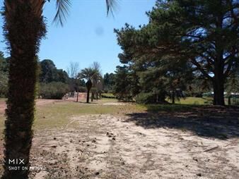 https://www.gallito.com.uy/hermoso-terreno-en-el-faro-carmelo-lote-271-inmuebles-27156079