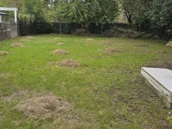 https://web5.gallito.com.uy/terreno-en-venta-zona-lezica-inmuebles-27157046