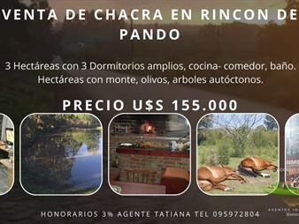 https://web5.gallito.com.uy/venta-de-chacra-en-rincon-de-pando-inmuebles-27717174