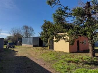 https://web5.gallito.com.uy/alquiler-gran-terreno-con-galpon-y-casa-inmuebles-27716549