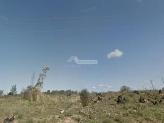 https://www.gallito.com.uy/venta-terreno-pando-camino-bertolotti-prox-ruta-8-y-101-inmuebles-20153683
