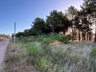 https://web5.gallito.com.uy/terreno-financiado-ultimos-en-montes-de-solymar-inmuebles-27484973