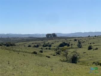 https://web5.gallito.com.uy/chacras-con-vistas-unicas-olivos-sierras-y-inmuebles-24936900