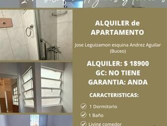 https://web5.gallito.com.uy/alquiler-de-apartamento-en-buceo-inmuebles-27723465