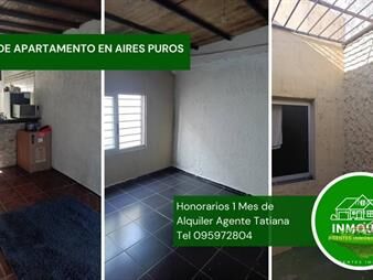 https://web5.gallito.com.uy/alquiler-de-apartamento-en-aires-puros-inmuebles-27723512