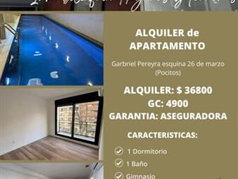 https://web5.gallito.com.uy/alquiler-de-apartamento-en-pocitos-inmuebles-27723564