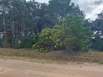 https://web5.gallito.com.uy/terreno-en-san-antonio-entrega-10-mil-y-finacia-inmuebles-27723616