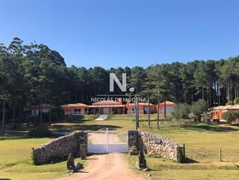 https://web5.gallito.com.uy/casa-con-estilo-y-diseão-inmuebles-25035782