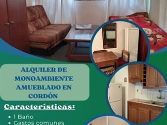 https://web5.gallito.com.uy/alquiler-de-monoambiente-amueblado-en-cordon-inmuebles-27723859