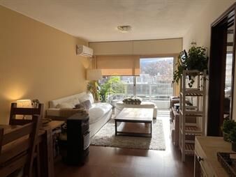 https://web5.gallito.com.uy/alquiler-apartamento-3-dormitorios-malvin-inmuebles-27699898