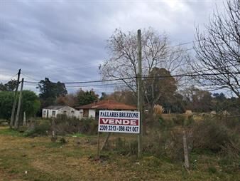 https://web5.gallito.com.uy/predio-sobre-ruta-102-km-23500-apto-logistica-inmuebles-27723483