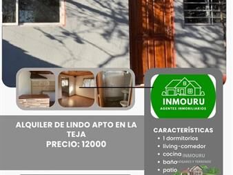 https://web5.gallito.com.uy/alquilo-lindo-apto-al-fondo-en-la-teja-inmuebles-27726643