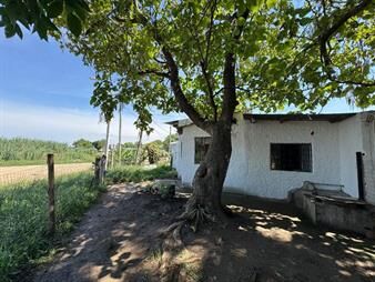 https://web5.gallito.com.uy/alquilo-casa-1-dormitorio-patio-cerrado-en-pando-inmuebles-27726759