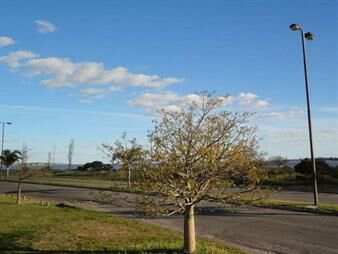 https://web5.gallito.com.uy/terreno-en-primera-linea-rambla-colonia-residencial-inmuebles-27155696