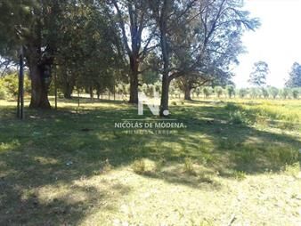 https://web5.gallito.com.uy/chacra-medellin-4-inmuebles-25282501
