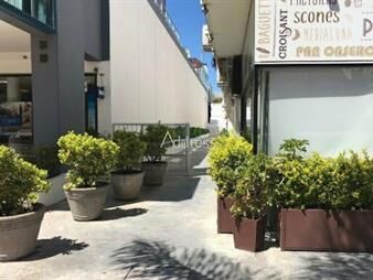 https://web5.gallito.com.uy/apartamento-en-venta-en-peninsula-punta-del-inmuebles-27195297