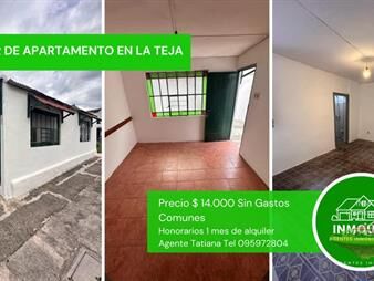 https://web5.gallito.com.uy/traspaso-de-alquiler-en-la-teja-inmuebles-27727185