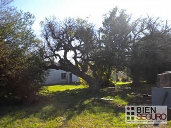 https://web5.gallito.com.uy/chacra-de-3-4-has-en-venta-en-los-cerrillos-inmuebles-24240786