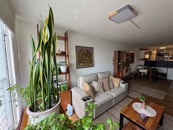 https://web5.gallito.com.uy/hermoso-apartamento-amueblado-en-cordon-1-dorm-50-m2-gge-inmuebles-27727628