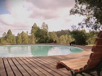 https://web5.gallito.com.uy/chacras-de-5-has-serranas-en-venta-ruta-109-rocha-inmuebles-27730943
