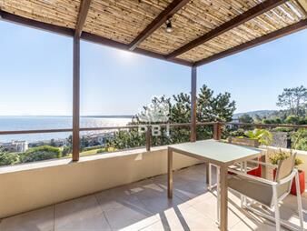https://web5.gallito.com.uy/apartamento-en-venta-lomo-de-la-ballena-punta-inmuebles-27548710