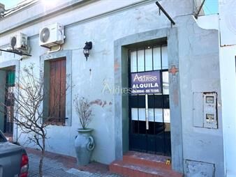 https://web5.gallito.com.uy/en-alquiler-apartamento-1-dormitorio-centro-inmuebles-27731171