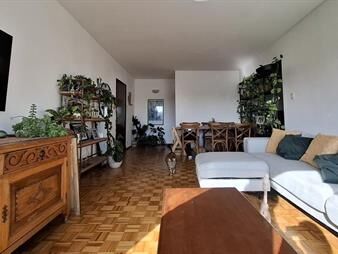 https://web5.gallito.com.uy/alquiler-de-apartamento-2-dormitorios-en-el-centro-inmuebles-27702838