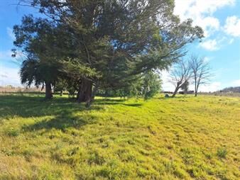 https://web5.gallito.com.uy/venta-campo-4-ha-1293-m²-con-construccion-en-pando-inmuebles-27731487