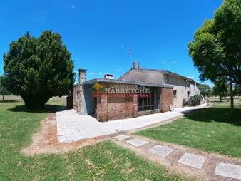 https://web5.gallito.com.uy/chacra-en-los-cerrillos-57-has-casa-barbacoa-inmuebles-26504101